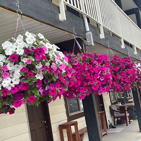 Twin Creeks Motel Lumby Dış mekan fotoğraf